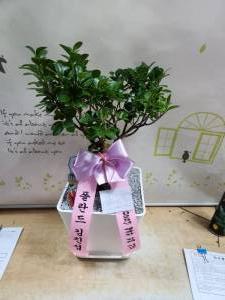 배송사진