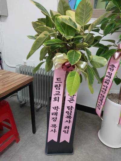 배송사진