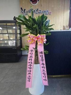 배송사진