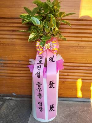 배송사진