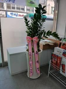 배송사진