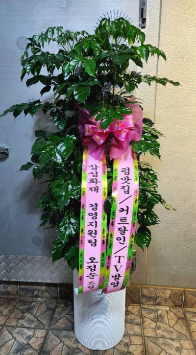 배송사진