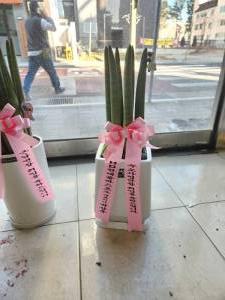 배송사진