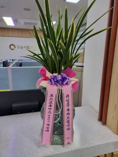 배송사진