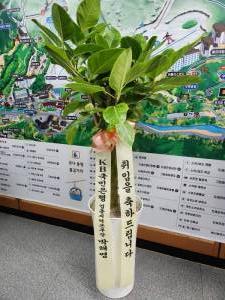 배송사진