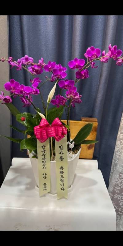 배송사진