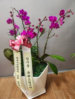 배송사진