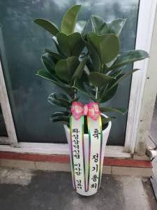 배송사진