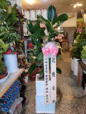 배송사진