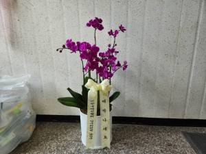 배송사진