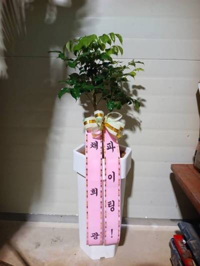 배송사진