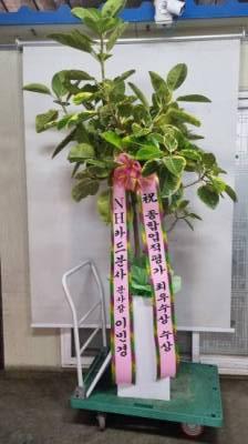 배송사진