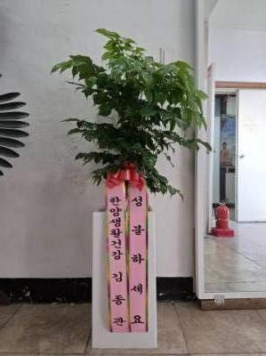 배송사진