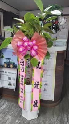 배송사진