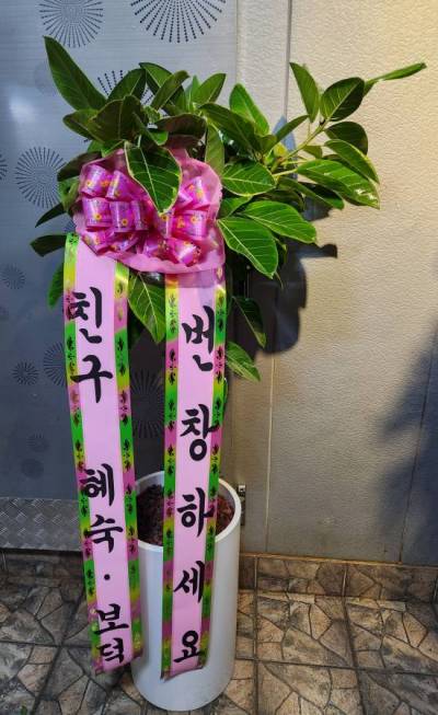 배송사진