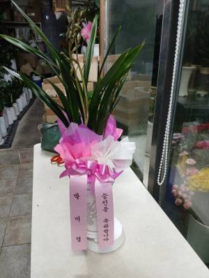 배송사진