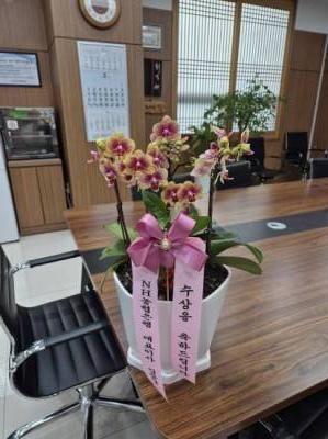배송사진