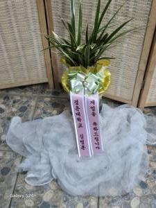 배송사진