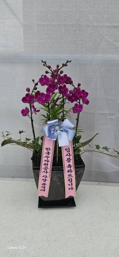 배송사진