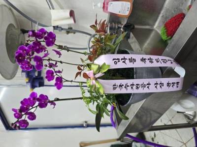 배송사진
