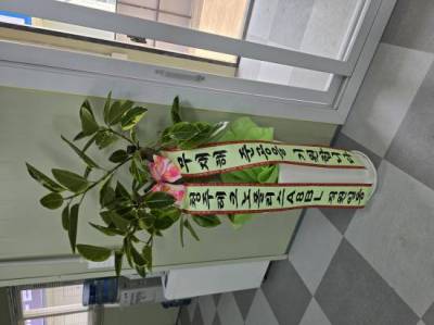 배송사진