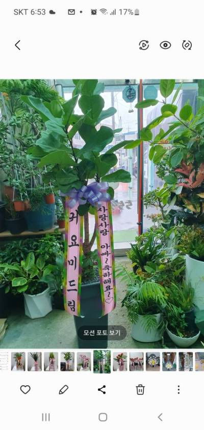 배송사진