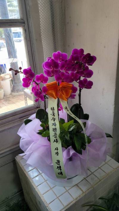 배송사진