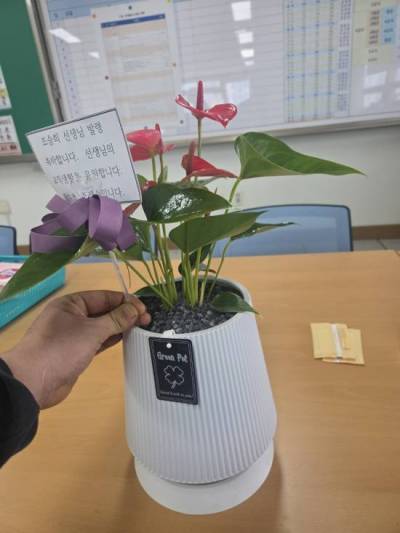 배송사진