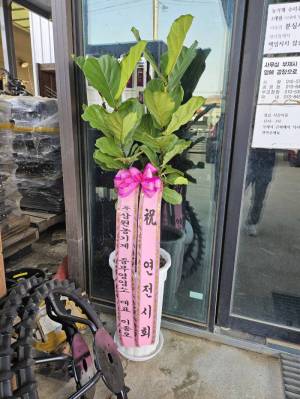 배송사진
