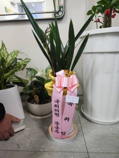 배송사진