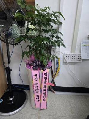 배송사진