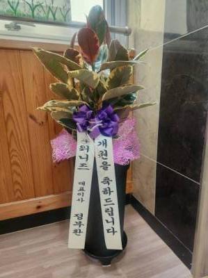 배송사진