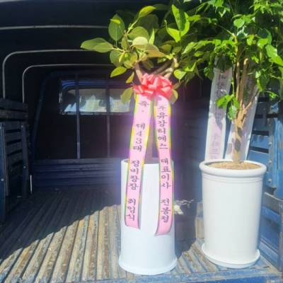 배송사진