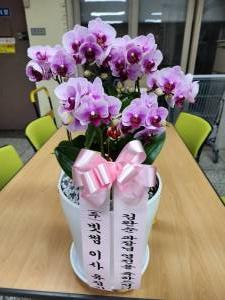 배송사진