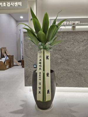 배송사진