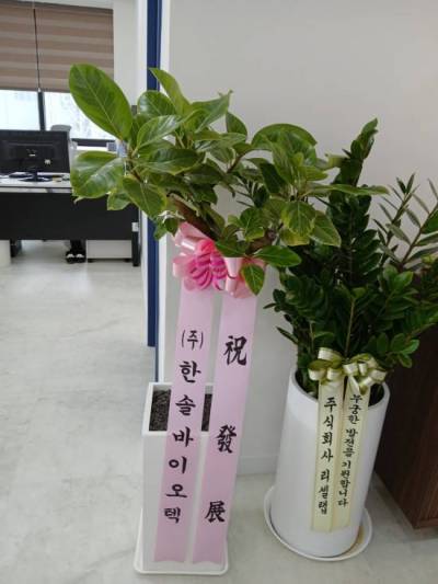 배송사진