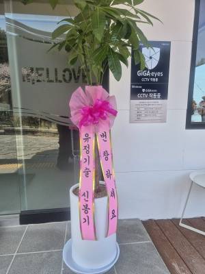 배송사진