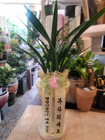 배송사진