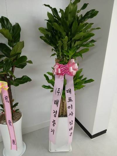 배송사진