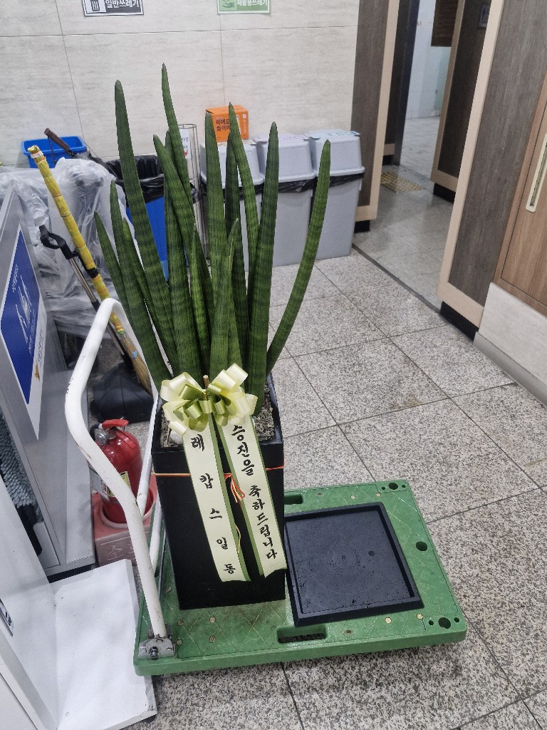 업로드 이미지