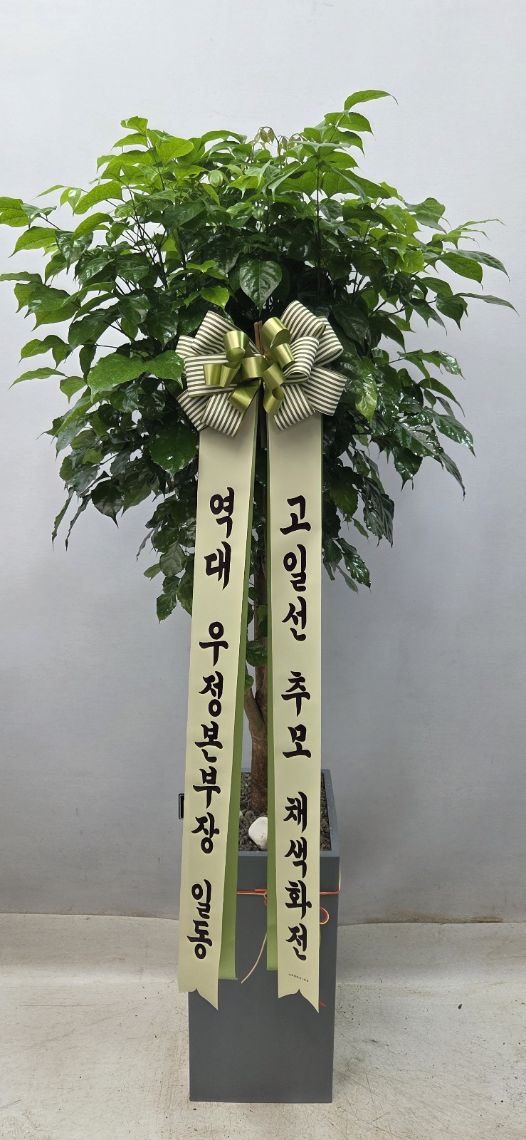 업로드 이미지