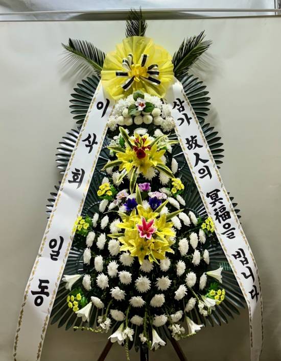 업로드 이미지