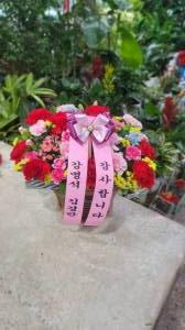 배송사진