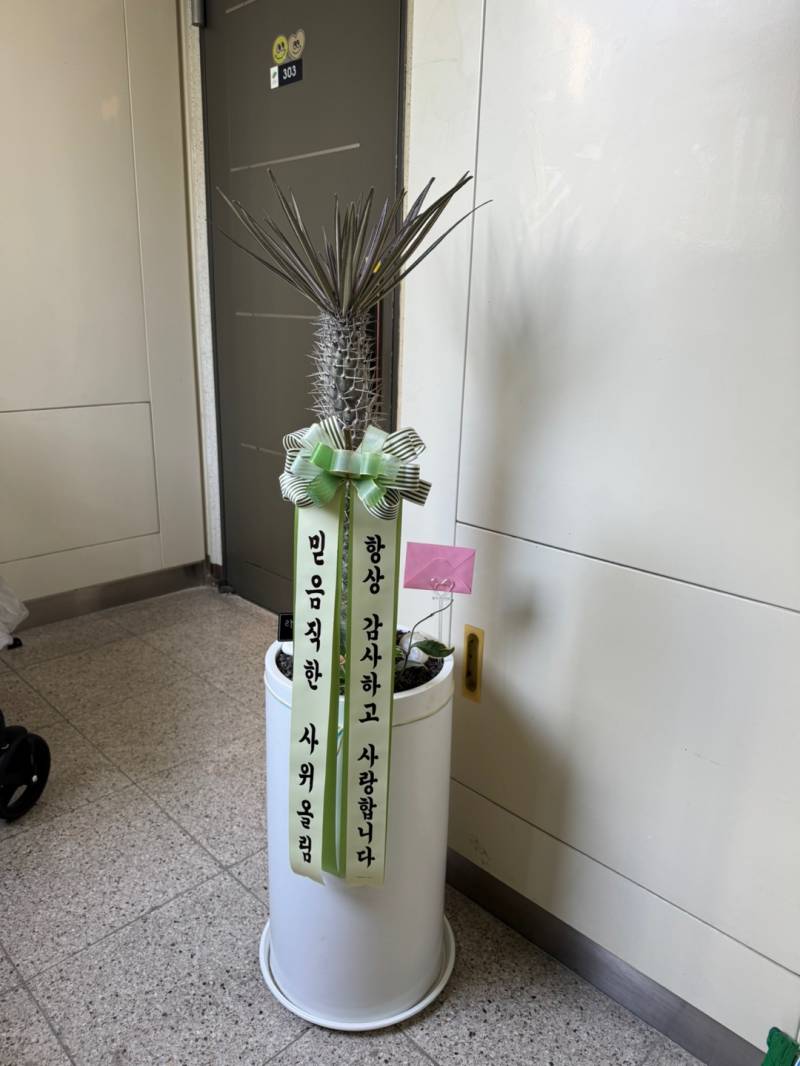 업로드 이미지