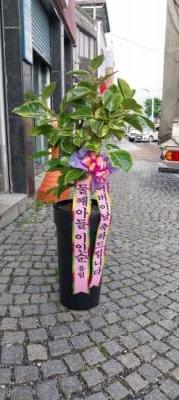 배송사진