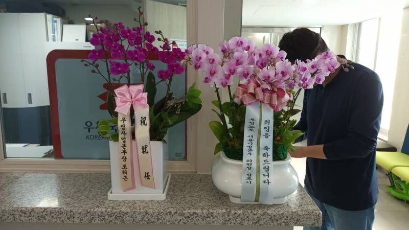 업로드 이미지