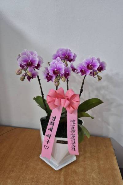 배송사진