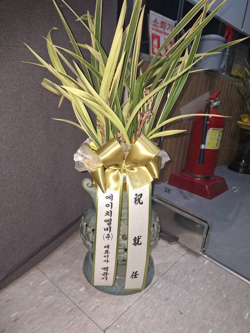 업로드 이미지