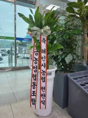 배송사진