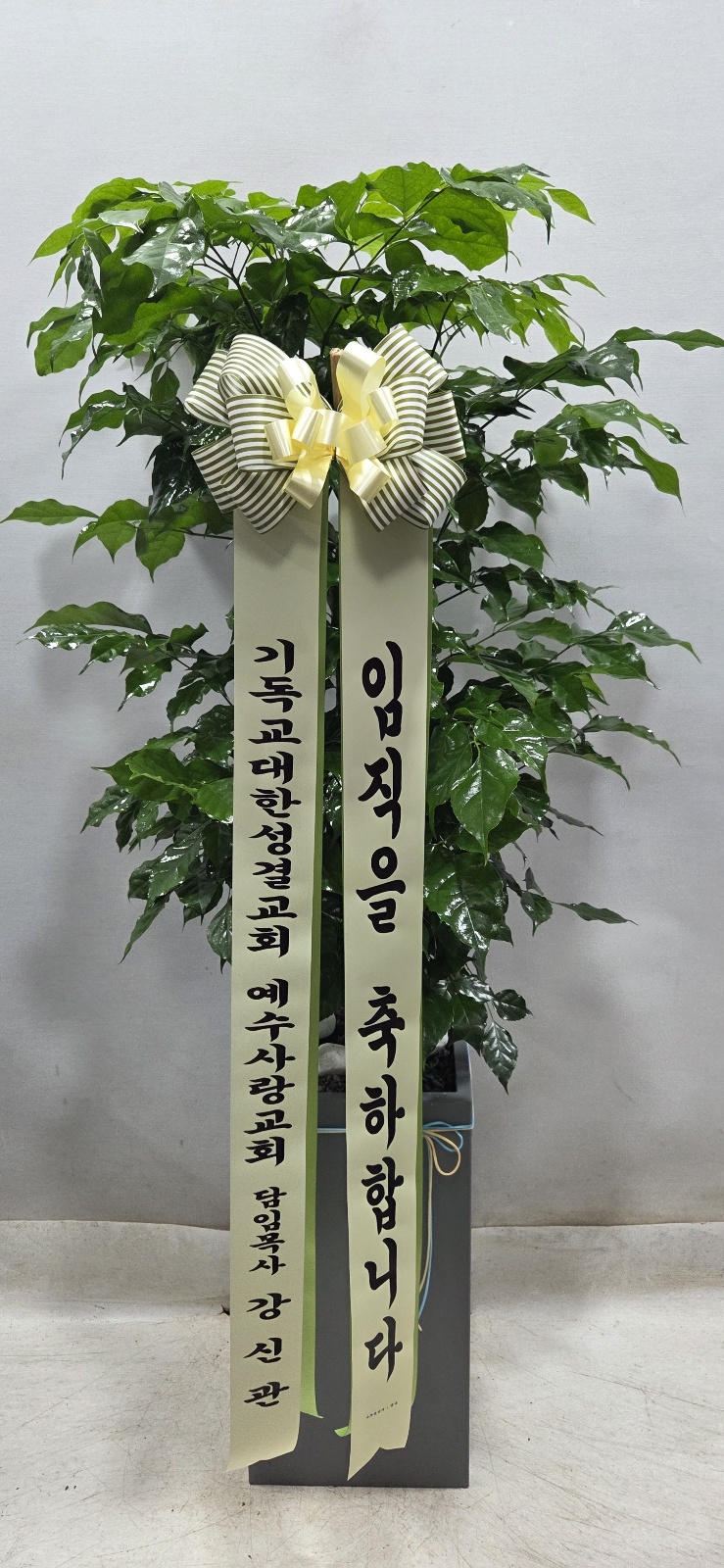 업로드 이미지